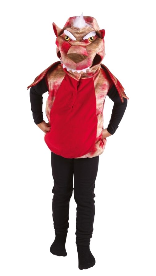 Costume dragon enfant face 2