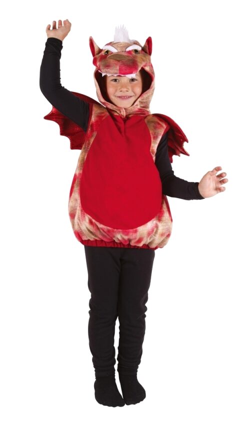 Costume dragon enfant face