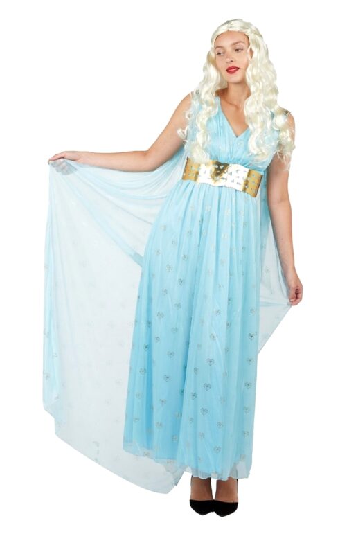 Costume princesse medievale bleu adulte