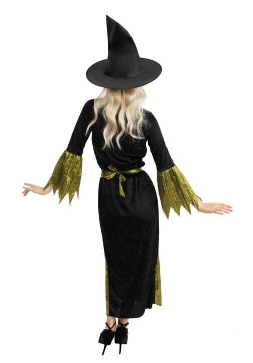 Costume sorciere noir vert adulte 3 1