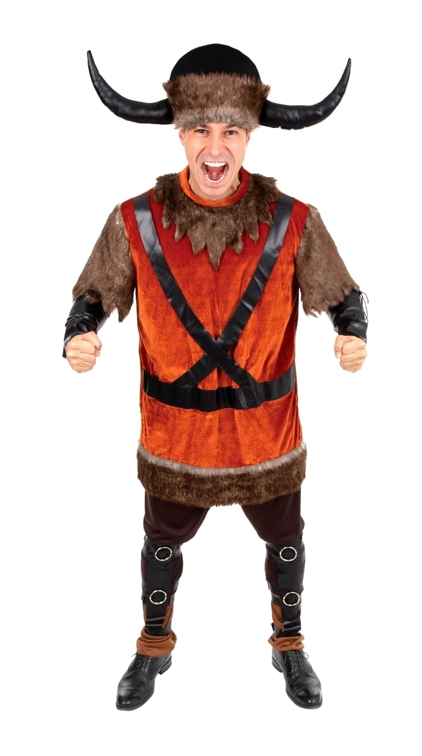 Costume viking adulte homme