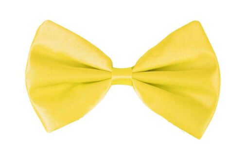 Noeud papillon jaune fluo