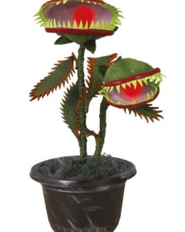 Plante carnivore animée